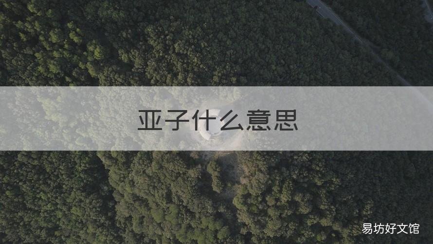 亚子什么意思 不聪明的亚子什么意思