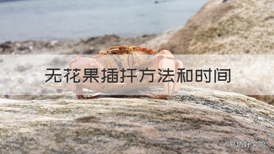 无花果插扦方法和时间 无花果的最佳扦插时间
