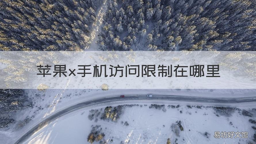 苹果x手机访问限制在哪里 苹果手机访问限制在哪里爱奇艺