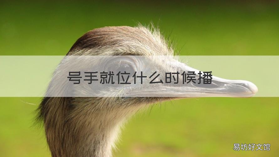 号手就位什么时候播 号手就位什么时候播哪个台