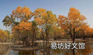 内蒙胡杨林在哪里