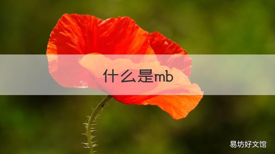 什么是mb 什么是MBO