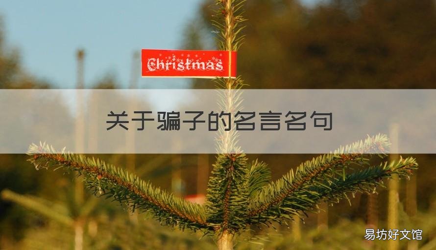关于骗子的名言名句 诈骗的名言