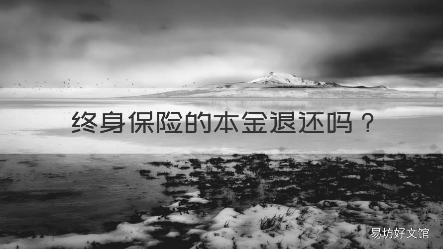 终身保险的本金退还吗 终身保险退保可以退还本金