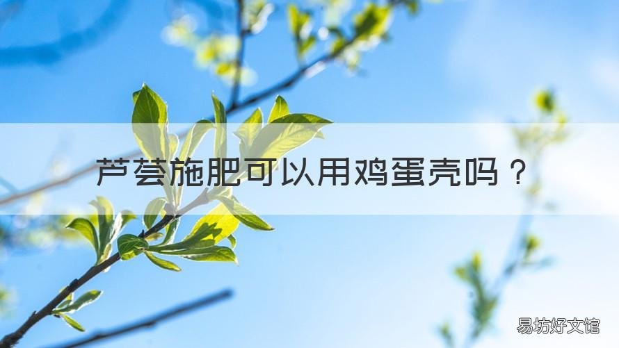芦荟施肥可以用鸡蛋壳吗 芦荟可以用鸡蛋来施肥吗?