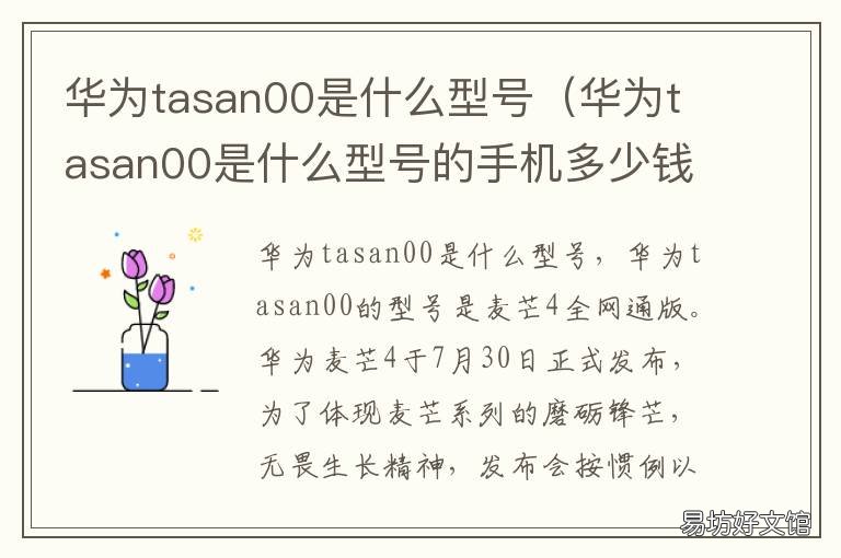 华为tasan00是什么型号