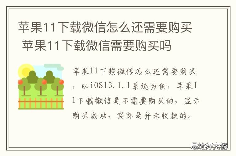 苹果11下载微信怎么还需要购买 苹果11下载微信需要购买吗