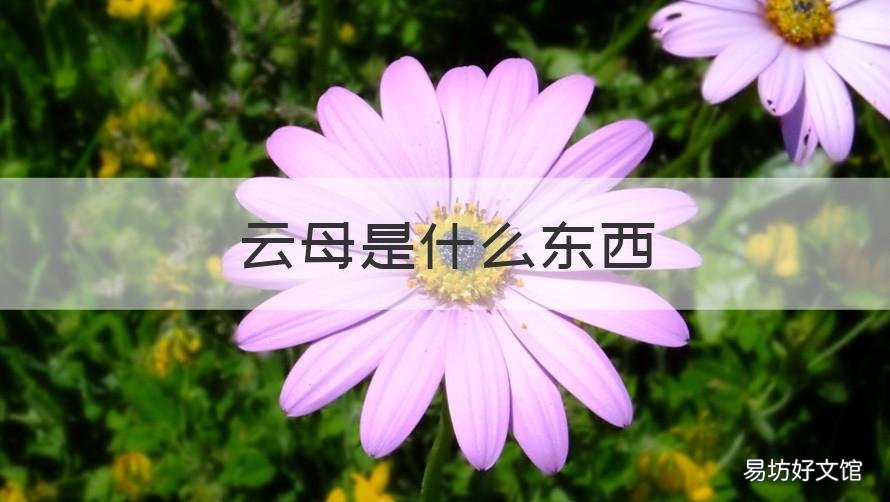 云母是什么东西 云母屏风的云母是什么东西