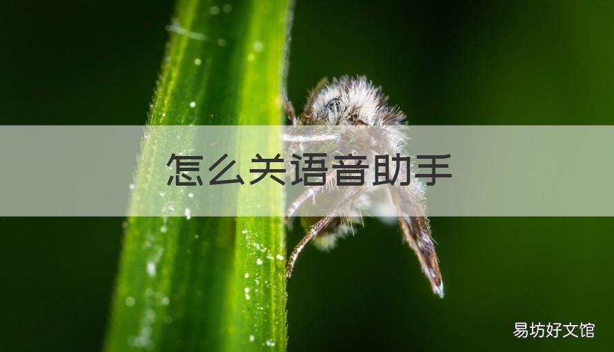 怎么关语音助手 怎样关语音助手