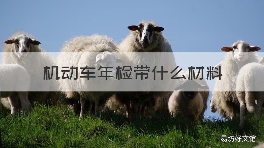 机动车年检带什么材料 机动车年检要带些什么材料
