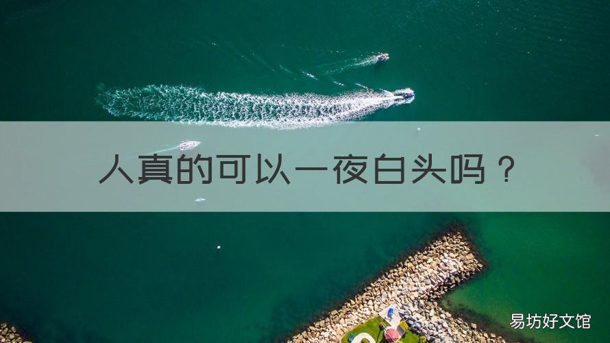 人真的可以一夜白头吗 人真的有可能一夜白头吗