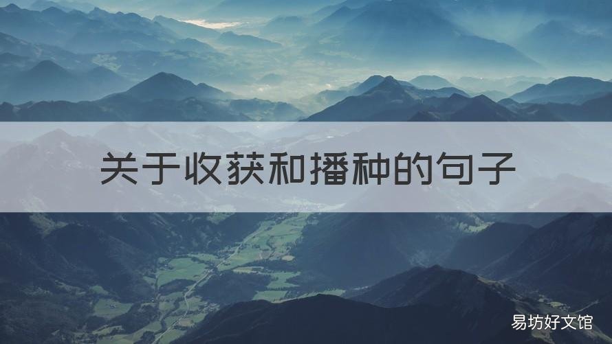 关于收获和播种的句子 关于播种与收获的唯美句子