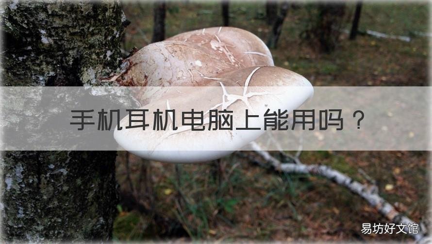 手机耳机电脑上能用吗 手机耳机电脑上能用吗怎么说话