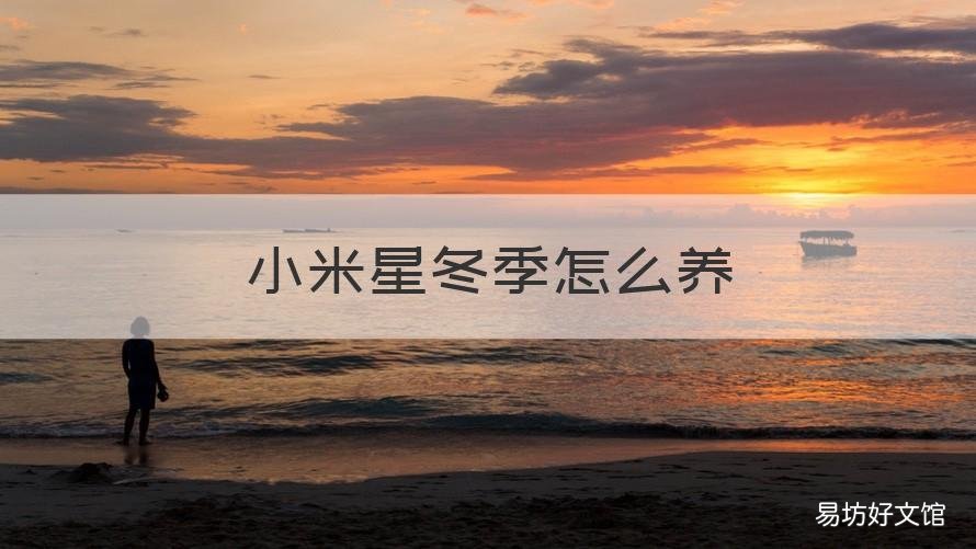 小米星冬季怎么养 小米星耐寒温度