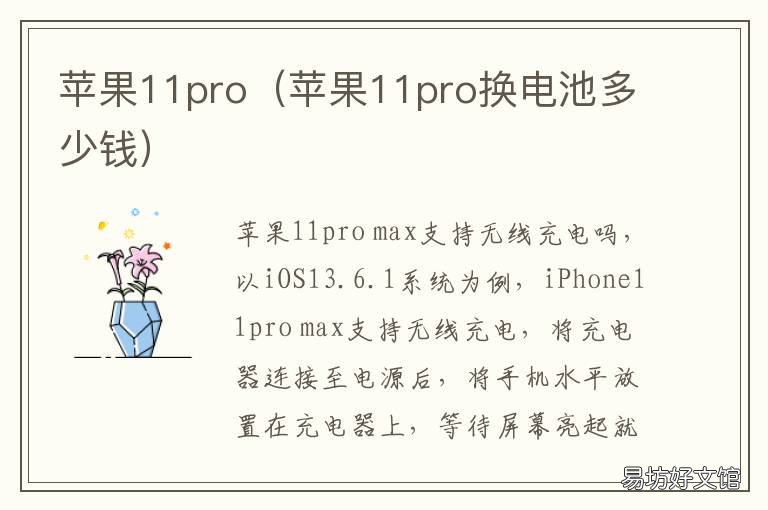苹果11pro 苹果11pro参数