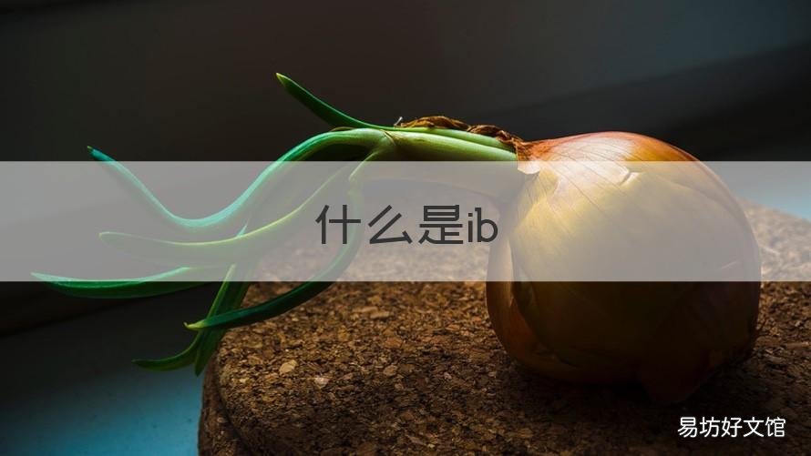 什么是ib 什么是iban账号