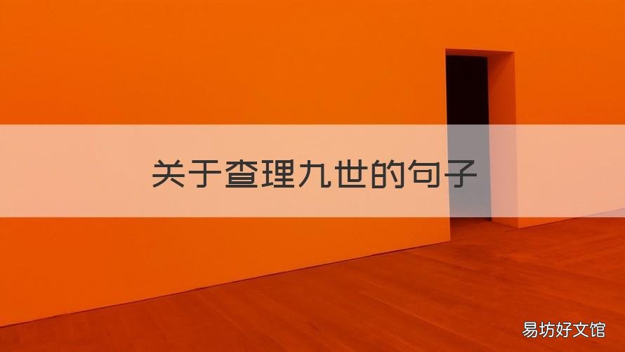 关于查理九世的句子 查理九世好句大全100个
