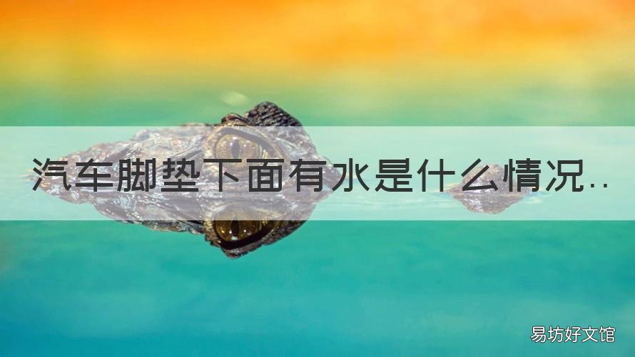 汽车脚垫下面有水是什么情况 汽车脚垫下面有水是什么情况图片