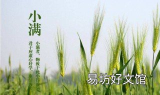 小满吃什么传统食物