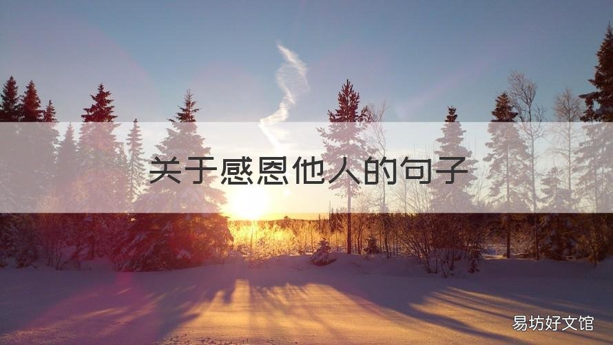 关于感恩他人的句子 关于感恩他人的语段
