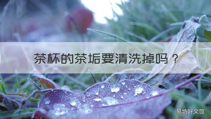 茶杯的茶垢要清洗掉吗 茶杯有茶垢怎么清洗