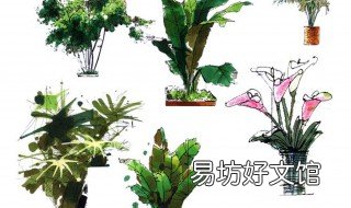 马克笔手绘教程 马克笔手绘教程百度云