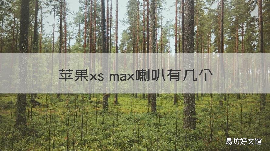 苹果xs max喇叭有几个 苹果xs max有两个喇叭吗