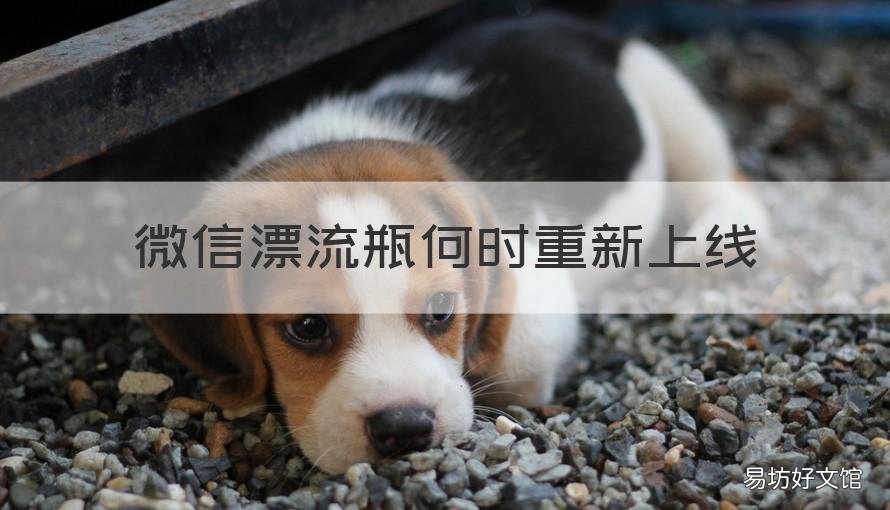 微信漂流瓶何时重新上线 微信漂流瓶功能什么时候恢复 新闻