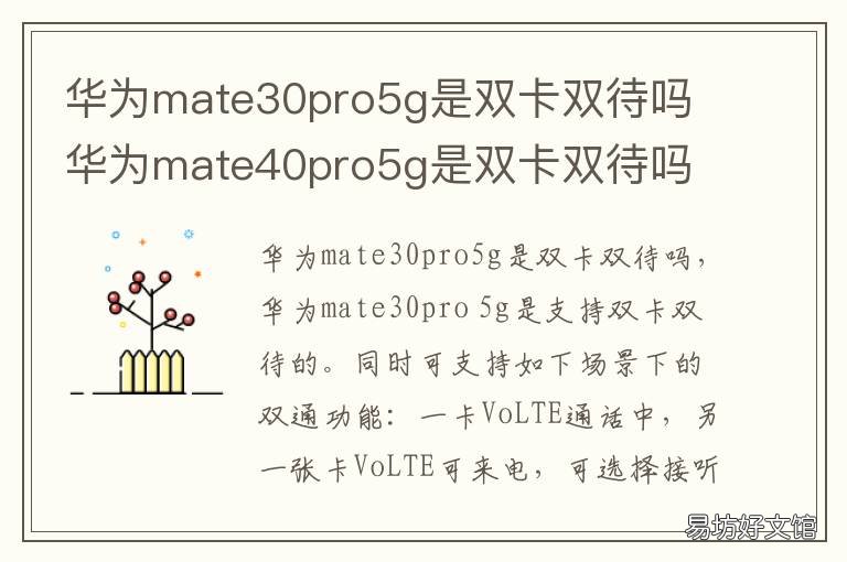 华为mate30pro5g是双卡双待吗