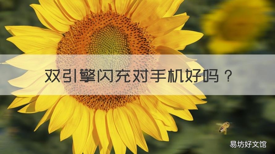 双引擎闪充对手机好吗 双引擎闪充有什么好处