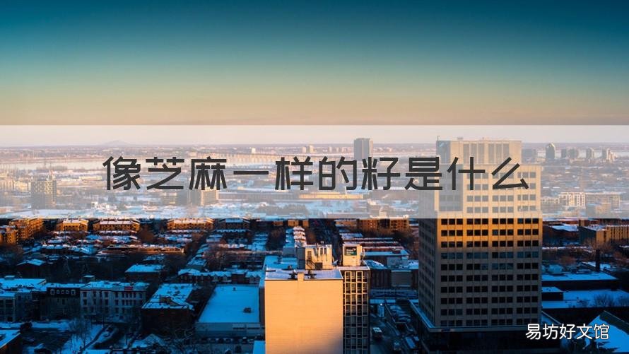 像芝麻一样的籽是什么 像芝麻一样的籽是什么植物