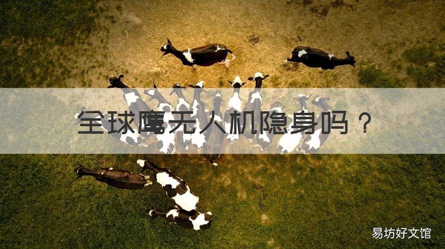 全球鹰无人机隐身吗 全球鹰无人飞机