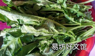 萝卜秧子怎么做好吃法 萝卜秧子怎么做好吃法视频