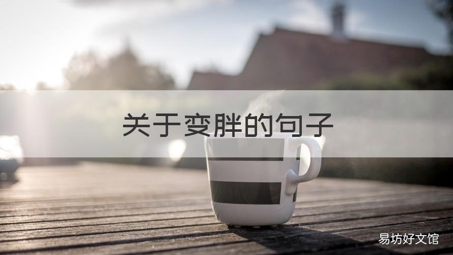 关于变胖的句子 关于越来越胖的句子