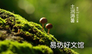 大暑吃什么 大暑吃什么去寒气最好