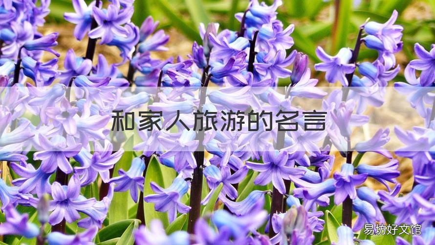 和家人旅游的名言 和家人旅游的名言警句