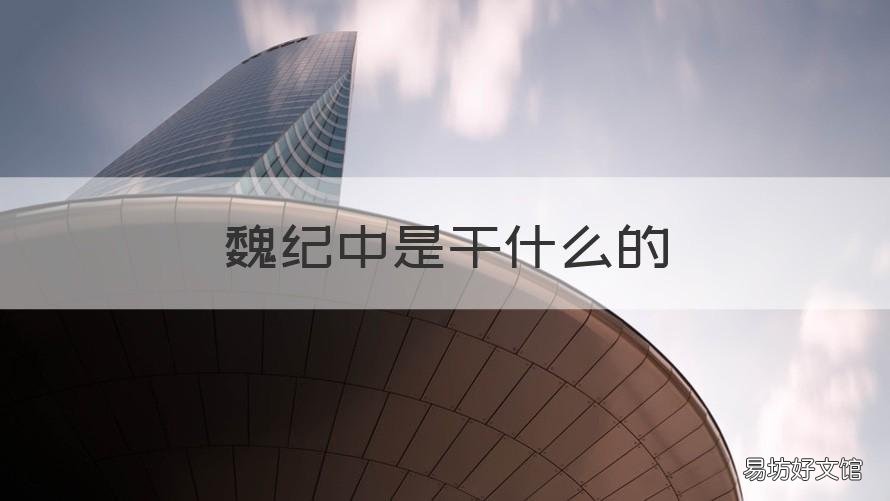 魏纪中是干什么的 魏纪中到底是什么人