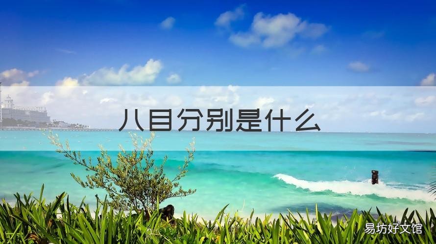 八目分别是什么 八目分别是什么意思