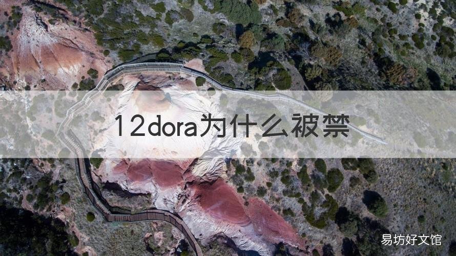 12dora为什么被禁 12dora怎么了