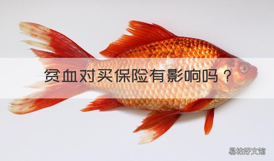 贫血对买保险有影响吗 贫血对买保险有影响吗女性