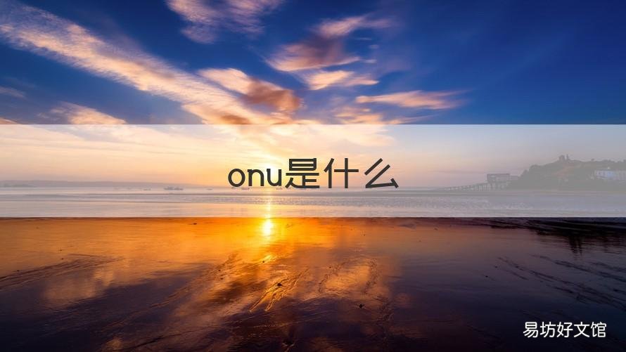 onu是什么 onu是什么的缩写