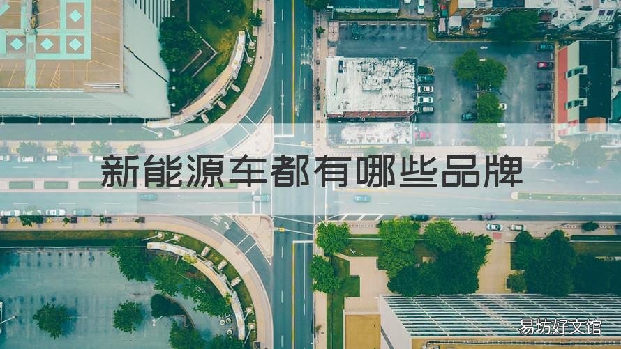 新能源车都有哪些品牌 新能源汽车哪个牌子好