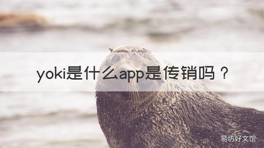 yoki是什么app是传销吗