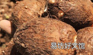 女人吃芋头的好处 女性常吃芋头对身体有啥好处