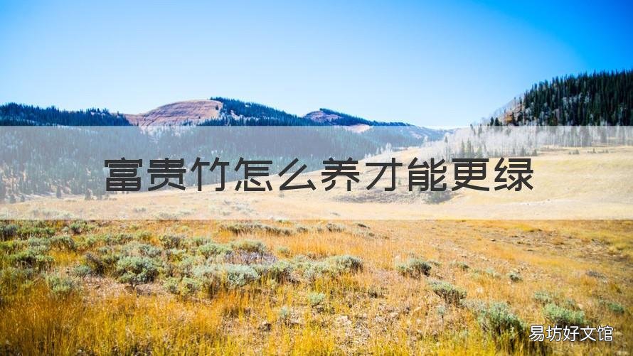 富贵竹怎么养才能更绿 富贵竹怎样养才能更绿