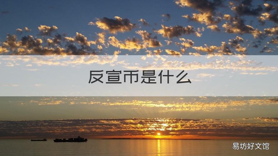 反宣币是什么 反宣币是谁印上去