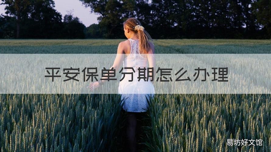 平安保单分期怎么办理 平安保险保单分期付款