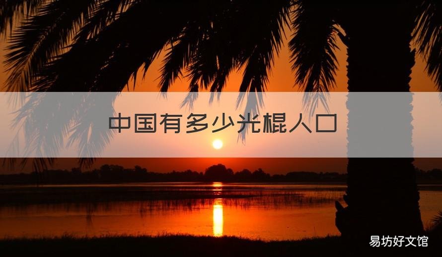 中国有多少光棍人口 现在中国有多少光棍人口