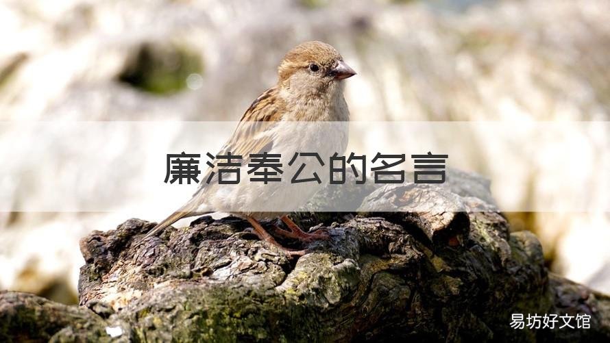 廉洁奉公的名言 廉洁奉公的名言名句大全