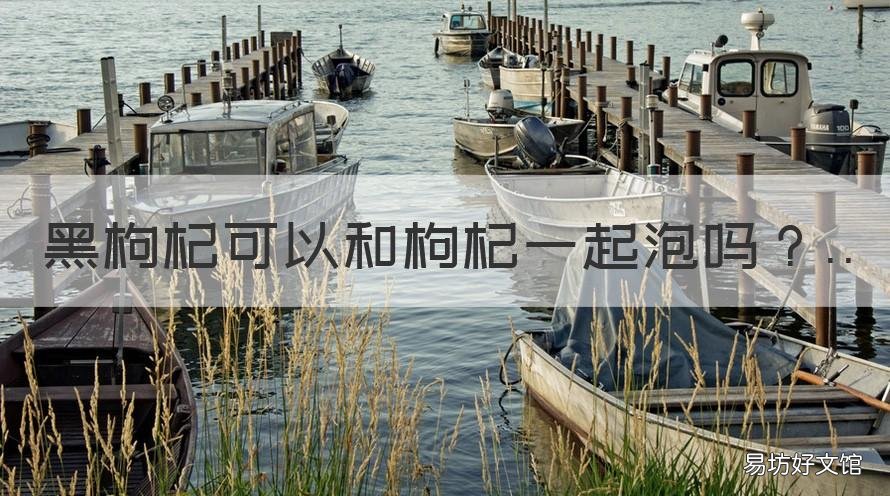黑枸杞可以和枸杞一起泡吗 黑枸杞可以和枸杞一起泡吗功效